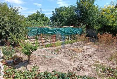 Casa de vacanta, Cazasu cu suprafata generoasa teren 824mp - 4