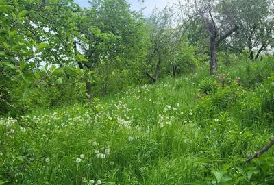 Vanzare casa Pucioasa -Bela - 3