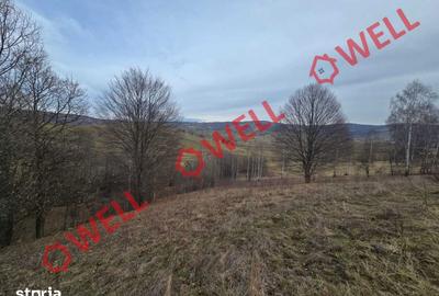 Teren de 5800 mp, în Barcani - 2