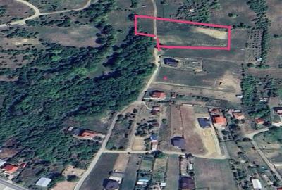 Spațiu comercial, în Făcăi - 6