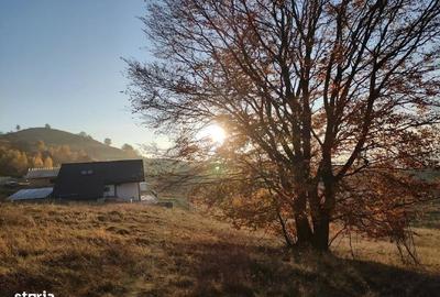 Teren Construcții intravilan de 2200 mp, în Ciurila - 2