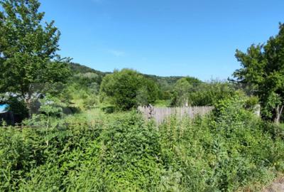 Teren intravilan 4.183 mp Cobia, sat Mislea ie?ire - 7