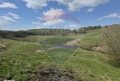 Spațiu comercial, în Fundătura - 16