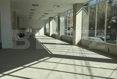 Spațiu comercial, de 300 mp, în Valea Rosie - 3