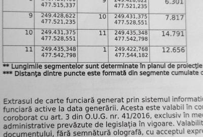 Teren de 2278 mp, în Belinț - 6