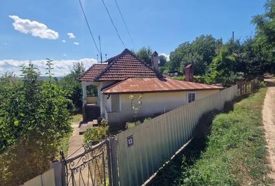 Casa in mediu rural cu teren - 17