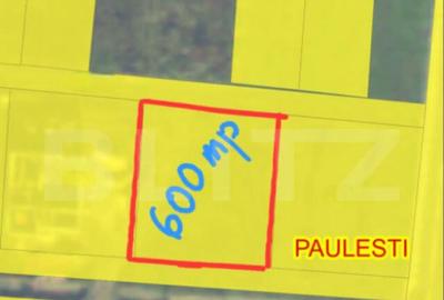 Teren de 600 mp, în Păulești
