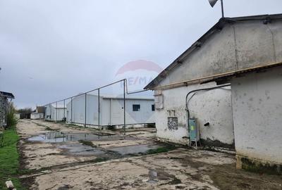 Spațiu industrial, de 683 mp, în Dârvari - 4