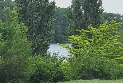 Teren 520mp, pe str. "Trei Lacuri", 90E/mp - 3