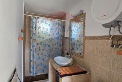 Casa la gri P+M cu anexa - oportunitate unica in Chisineu-Cris! - 7