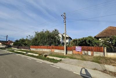 Vanzare casa P+1, in comuna Dane?ti, sat ?asa - la 10 km distan?a de Tg. Jiu - 1