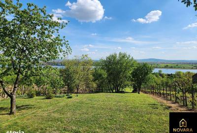 Teren de 2200 mp, în Podgoria