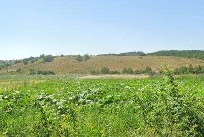 Teren de vanzare Savadisla 1400mp front la 2 drumuri - 2