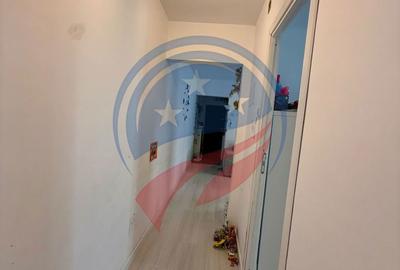 Apartament cu 3 camere semidecomandat, mobilat în Brazda lui Novac - 5