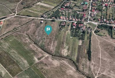 Teren Extravilan -Oportunitate Unică de Investiții - 8