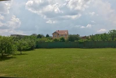 Casă individuală cu 7 camere cu Teren 3000 Mp în Micălaca - 4