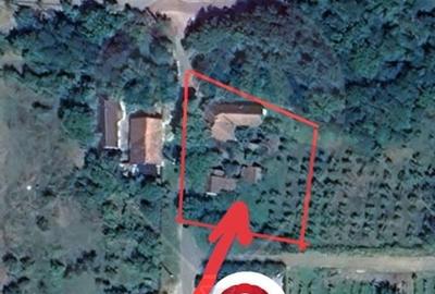 Casa solida cu teren 1081 mp Siria soseaua principala spre Cetate - 5