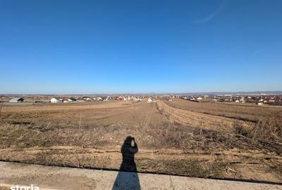 Teren de 10000 mp, în Săucești - 2
