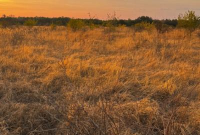 Teren extravilan 5000 , 2,5 euro mp BREASTA Teren extravilan 5000 , 2,5 euro mp BREASTA - 4