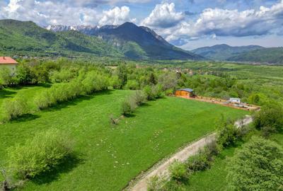 Teren Construcții intravilan de 500 mp, în Tohănița - 12