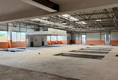 Hala 7.646 mp + teren 35.092 mp + 1MW energie Valu lui Traian - 2