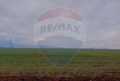 Comision 0 %! Teren extravilan, 21,175 mp Harman - 6