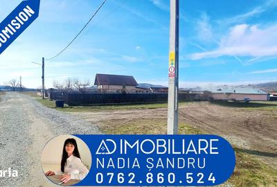 Teren de 3725 mp, în Bumbești-Pițic - 4