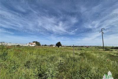 Teren intravilan Techirghiol Teren intravilan Techirghiol - 5