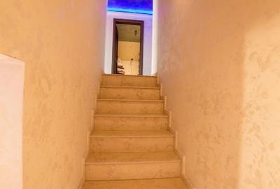 VILĂ CU PISCINĂ – DIRECT DE LA PROPRIETAR – VLADIMIRESCU, ARAD - 11