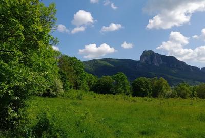 Teren intravilan, in Rimetea, suprafete intre 1000 - 10000 mp - 1