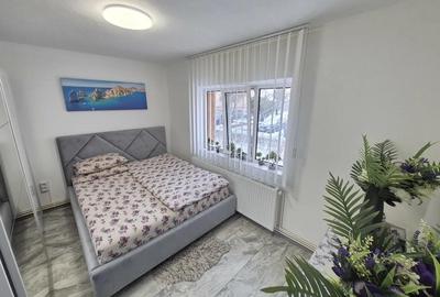 Apartament cu 2 camere decomandat, mobilat în Șagului - 14