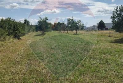 Teren de vanzare in Tautii-Magheraus / Strada 66 Teren de vanzare in Tautii-Magheraus / Strada 66 - 3