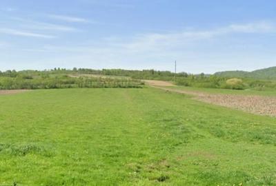 Teren Construcții extravilan de 4524 mp, în Ștei - 1