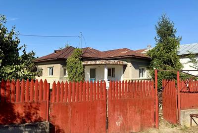 Vand casa cu teren generos, acces direct la DN, Balta Doamnei - 4