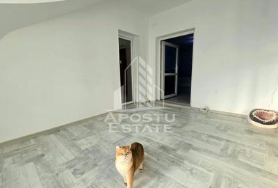 Casa individuala la intrare in Sag, teren de 1.800 mp,  mobilata - 11