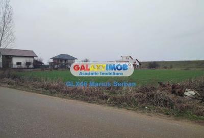 Vanzare teren Clinceni - 9