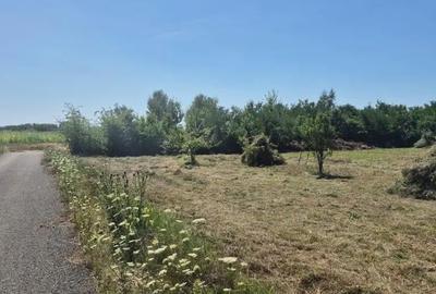 Teren de 3000 mp, în Merișor - 1