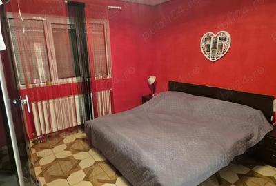 Casa S+P+E , Mobilata , Or. Pancota - 35 km de Arad , comision 0 , Pret redus - 2