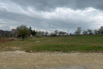 Spațiu comercial, în Săldăbagiu de Munte - 4