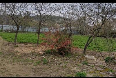 Casă cu 2 camere cu Teren 2000 Mp în Axintele - 3