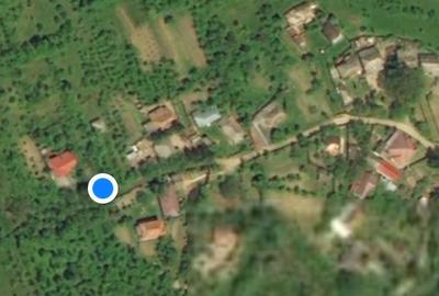 Casă cu 3 camere cu Teren 3000 Mp în Gorganu - 10