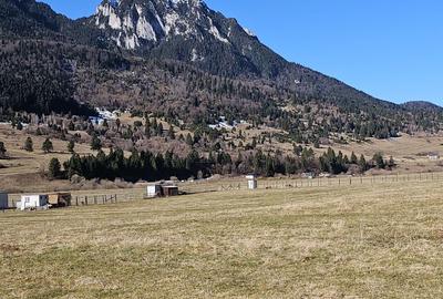 Spațiu comercial, în Plaiul Foii - 2