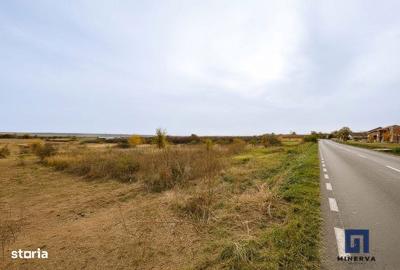 Spațiu comercial, în Pișchia - 7