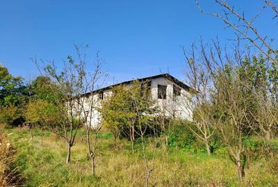 Vând teren intravilan l in suprafața 19000 mp. și hala - 2