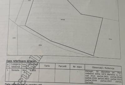 Teren extravilan de 5808 mp, în Mehadia