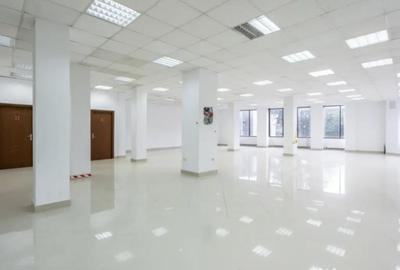 Spațiu comercial, de 250 mp, în Ferdinand - 8