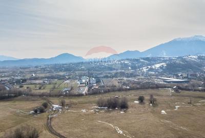 Teren Construcții intravilan de 4500 mp, în Tohanu Nou - 10