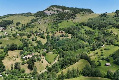 Comision 0% | Teren intravilan 2068 mp | Magura | Piatra Craiului - 4