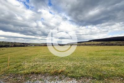 Teren intravilan in Tocile - 4354 m² - 2 fronturi - oferta competitiva - 18