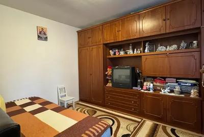 Casă cu 3 camere cu Teren 4000 Mp în Letca Nouă - 17